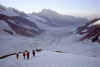 prvn� firnov� plat� na Jungfrau (34314 bytes)