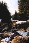 ... relax ... (51006 bytes)